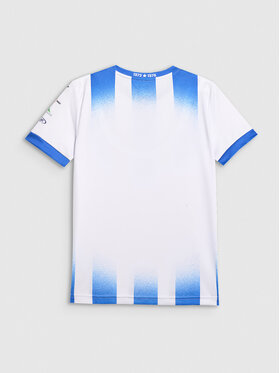 4F 4F Koszulka techniczna TEAMWEAR Kolorowy Regular Fit