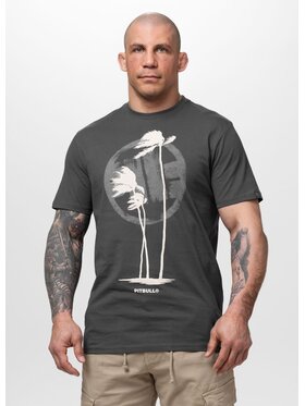 PITBULL PITBULL T-Shirt PALMS Szary Regular Fit