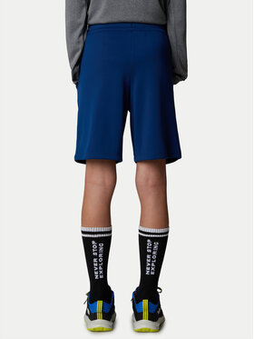 Αθλητικό σορτς The North Face φωτογραφία