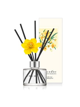 Cocodor Cocodor Dyfuzor DYFUZOR 120ML FL.DAFFODIL ENGLISH PEARFREE 30933 Kolorowy