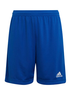 adidas adidas Спортивні шорти Entrada 22 HG6291 Голубий Regular Fit
