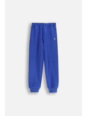 Lemon Explore Lemon Explore Spodnie dresowe WL6120101ACB-014 Niebieski Regular Fit