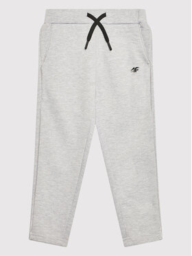 4F 4F Spodnie dresowe HJZ21-JSPDD002A Szary Regular Fit