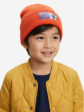 Σκούφος Looney Tunes φωτογραφία