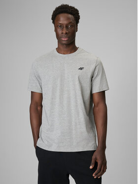 4F 4F T-Shirt NOS Szary jasny Regular Fit