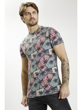 Cross Jeans Cross Jeans T-Shirt 15784-533 Kolorowy Regular Fit