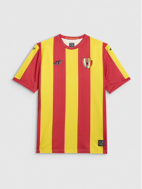 4F 4F Koszulka techniczna TEAMWEAR Kolorowy Regular Fit