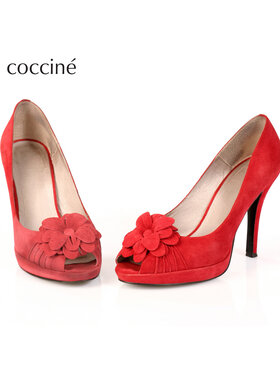 Σπρέι συντήρησης Coccine φωτογραφία