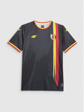 4F 4F Koszulka techniczna TEAMWEAR Kolorowy Regular Fit