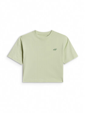 4F 4F T-Shirt JELLIFICATION Turkusowy Loose Fit
