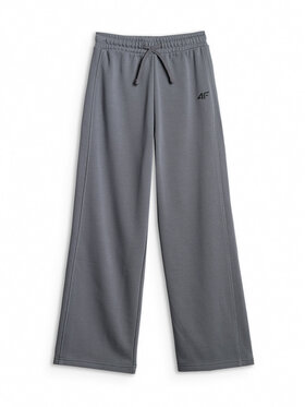 4F 4F Spodnie dresowe WILD WANDERLUST Szary ciemny Loose Fit