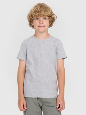 4F 4F T-Shirt 4FJWMM00TTSHM2330-25M Szary Regular Fit