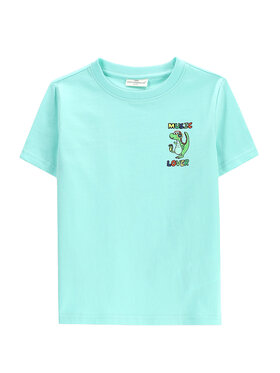 Coccodrillo Coccodrillo Tricou WC5143212VBD Verde Regular Fit