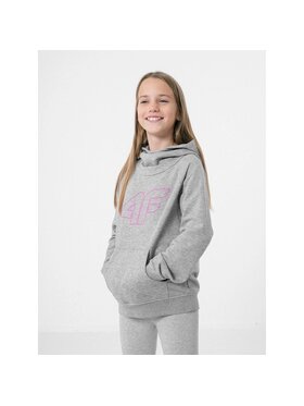 4F 4F Bluza HJZ22JBLD002-25M Szary Regular Fit