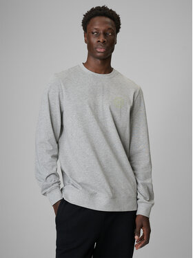 4F 4F Longsleeve FLUID EXPRESSIONS Szary Regular Fit