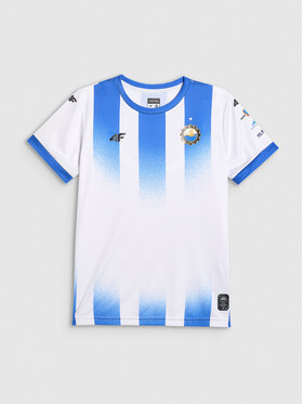 4F 4F Koszulka techniczna TEAMWEAR Kolorowy Regular Fit