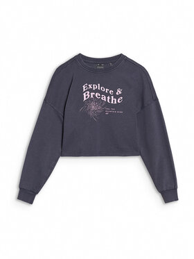 4F 4F Bluza ESCAPE TO NATURE Szary ciemny Regular Fit