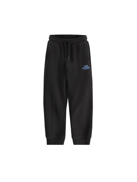 Coccodrillo Coccodrillo Spodnie dresowe ZC6120201WBK-021 Czarny Regular Fit
