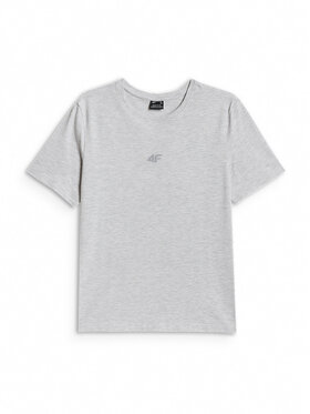 4F 4F T-Shirt NOS Szary jasny Regular Fit