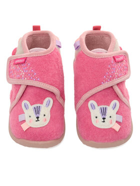 Biomecanics Biomecanics Sussid 251172 Roosa