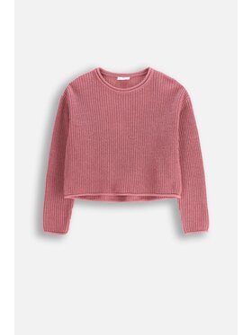 Coccodrillo Coccodrillo Sweter WC5172101DGJ-033 Różowy Regular Fit