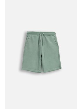 Coccodrillo Coccodrillo Szorty materiałowe WC6120502TBJ-011 Zielony Regular Fit