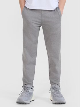 4F 4F Spodnie dresowe 4FJWSS25TFTRM0877-27M Szary Regular Fit