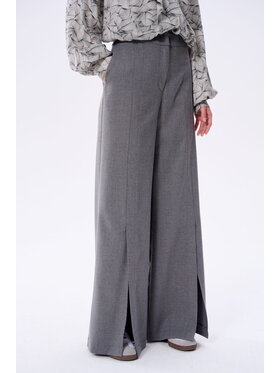 blue shadow blue shadow Spodnie damskie Telza Szary Regular Fit