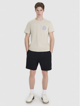 4F 4F T-Shirt A NEW ROAD AHEAD Beżowy Regular Fit