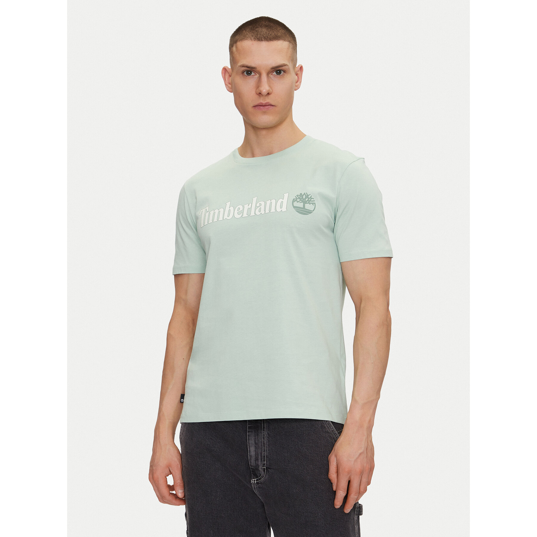 Timberland T-Shirt TB0A5UPQ Zielony Regular Fit
