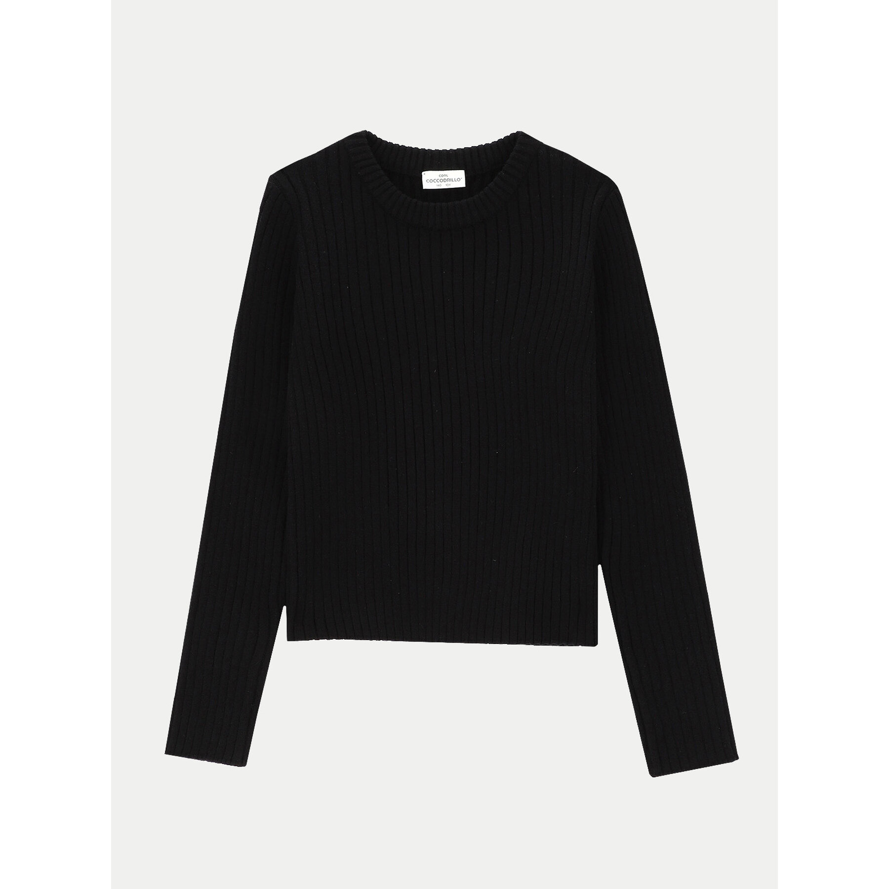 Coccodrillo Sweter ZC4172101SGJ Czarny Regular Fit