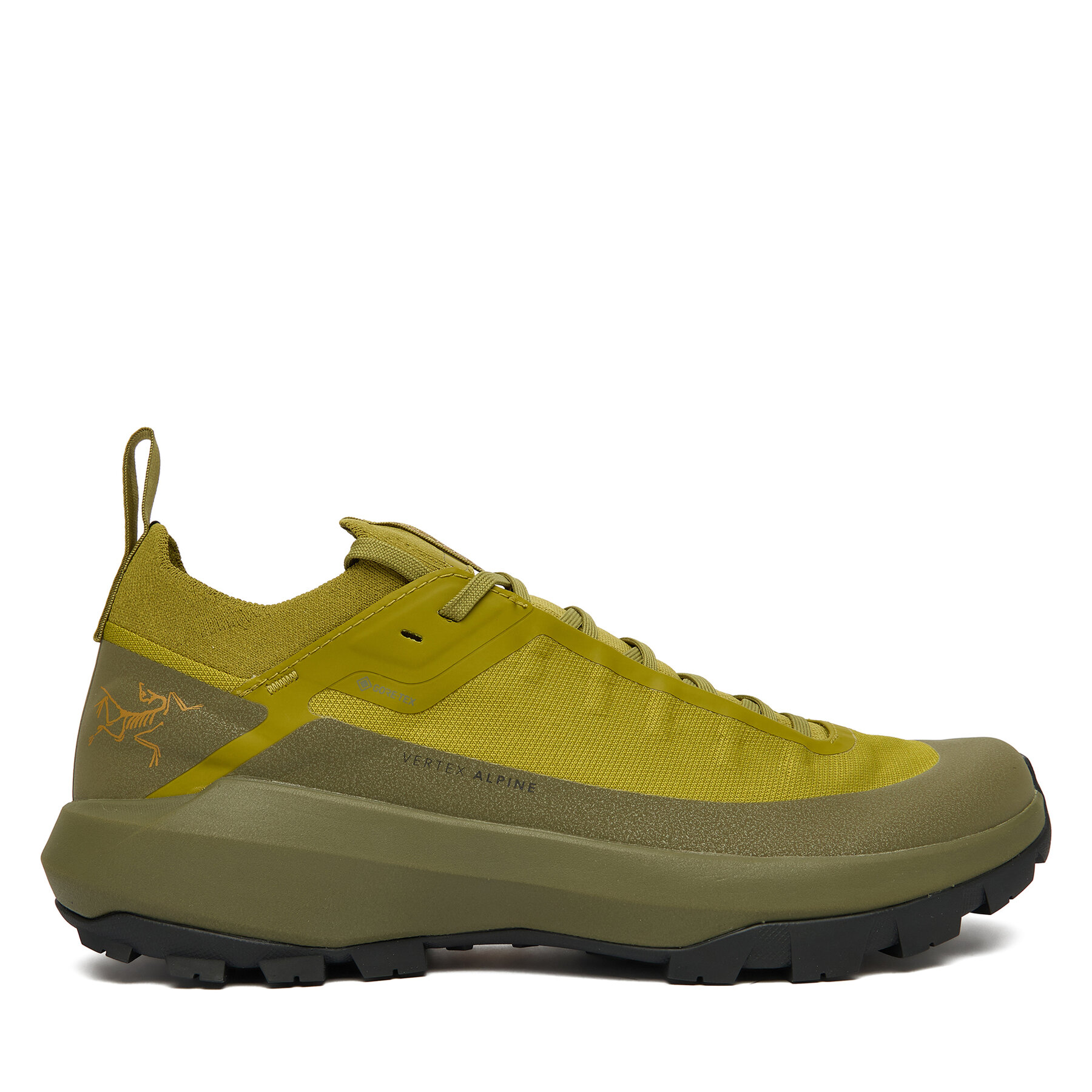Arc'teryx Trekkingi Verte Alpine Gtx Gore-Tex X000009602 Zielony