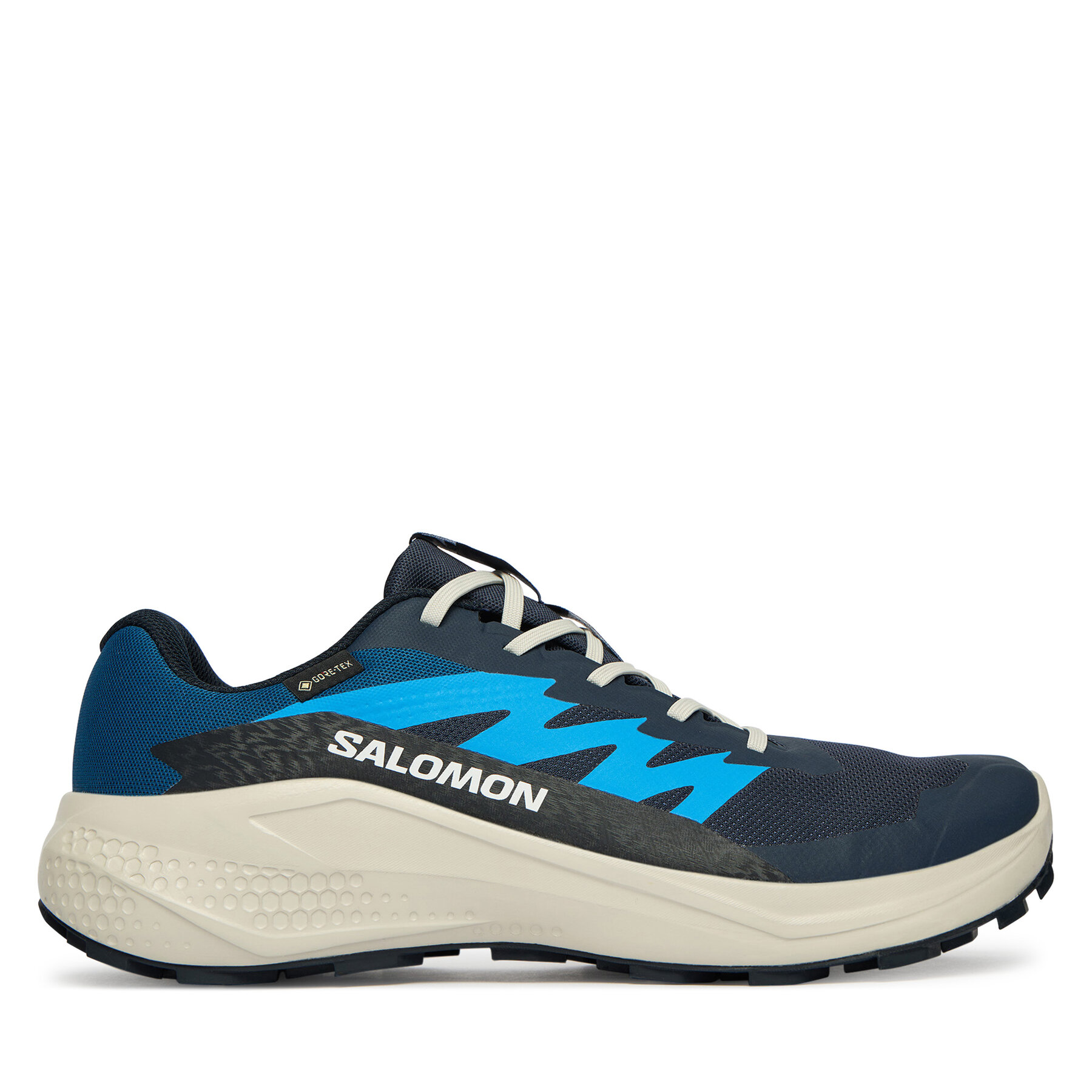 Salomon Buty do biegania Alphaglide Gtx L47975100 Niebieski