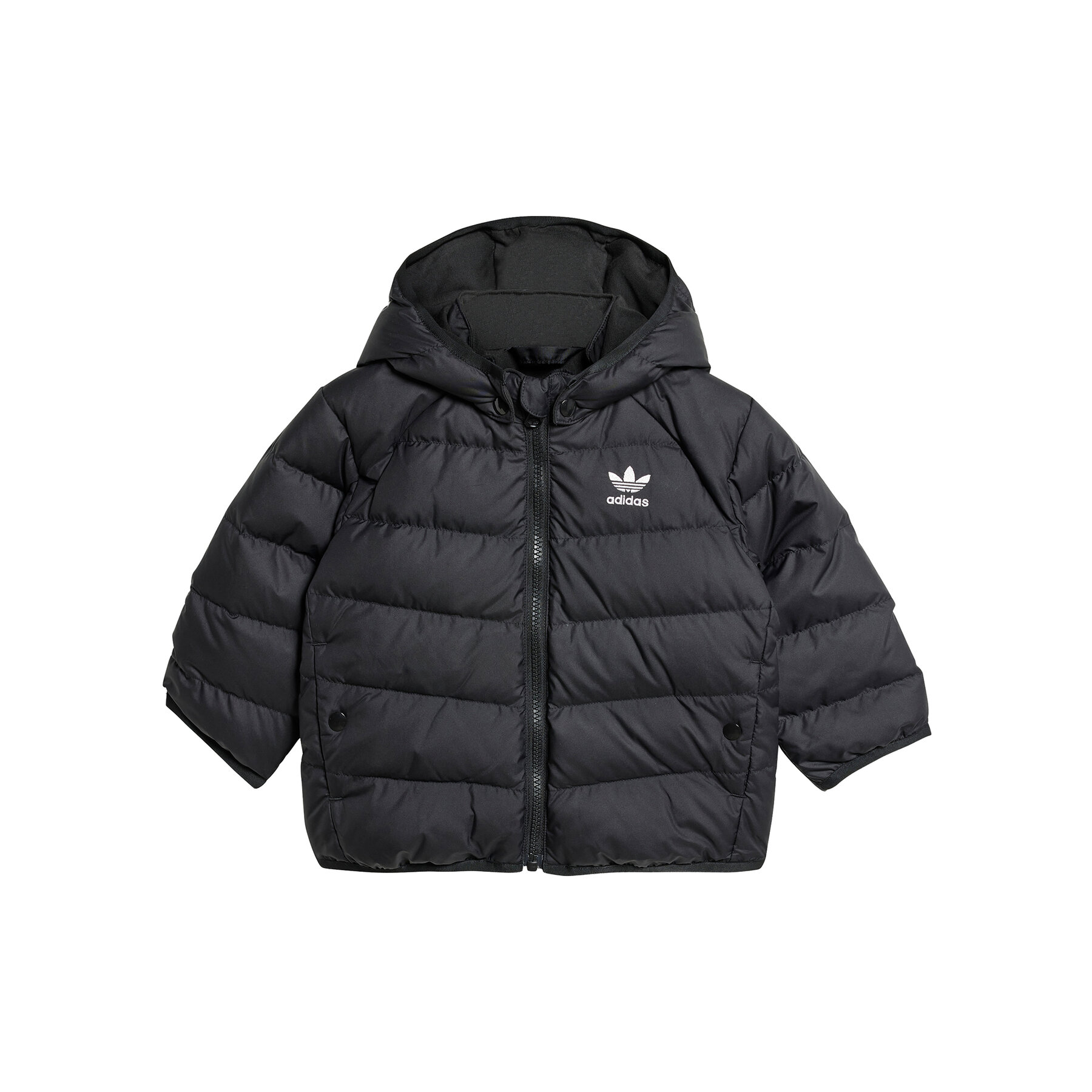 adidas Kurtka puchowa adicolor IX7493 Czarny Regular Fit