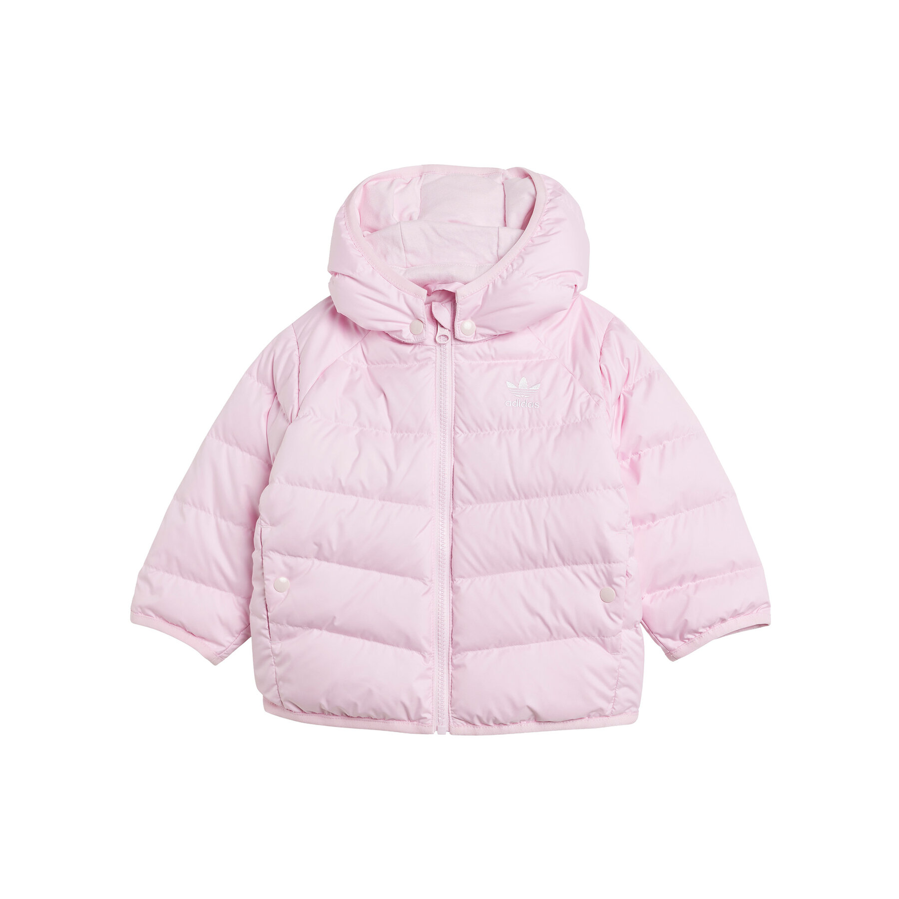 adidas Kurtka puchowa adicolor JY1133 Różowy Regular Fit