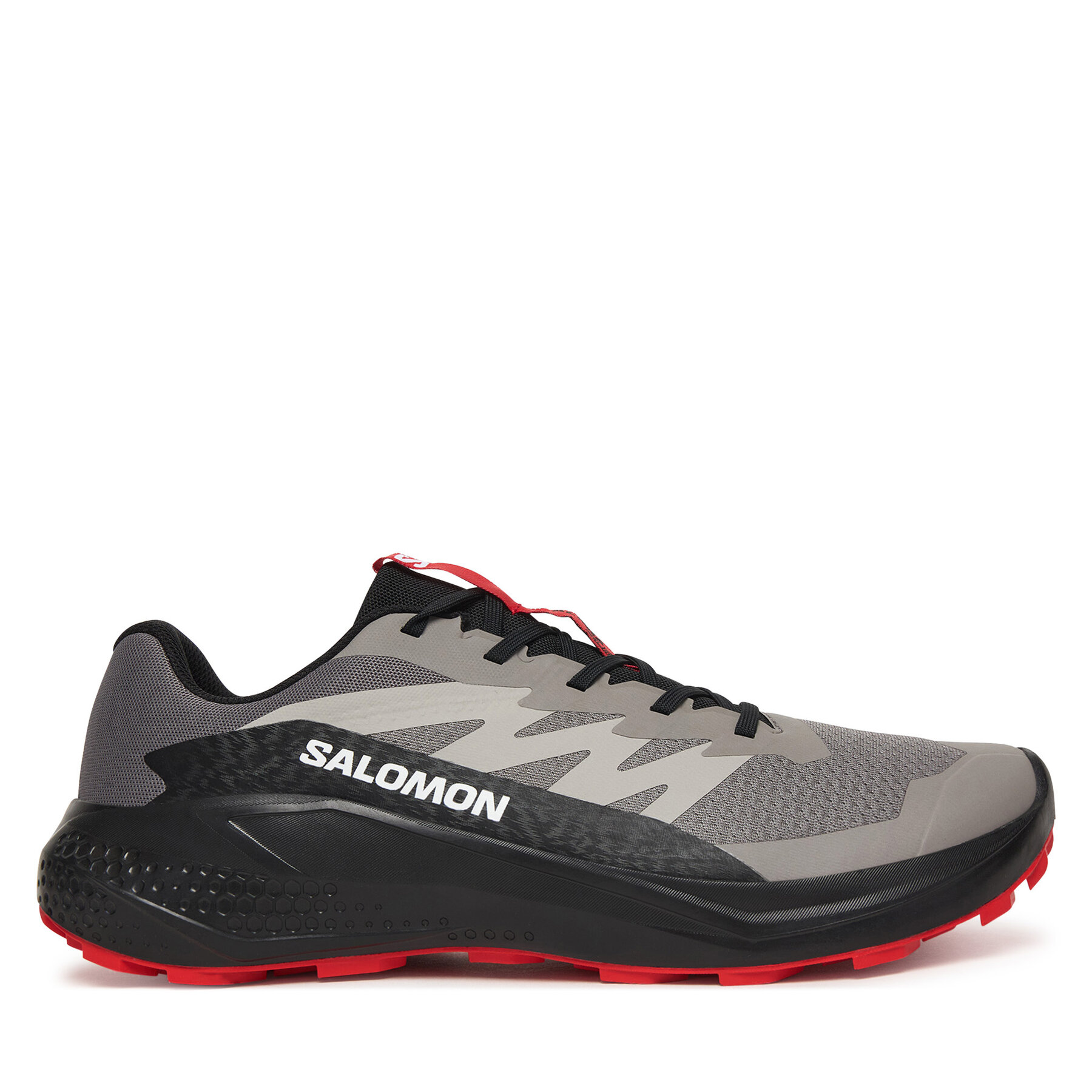 Salomon Buty do biegania Alphaglide L48000800 Szary