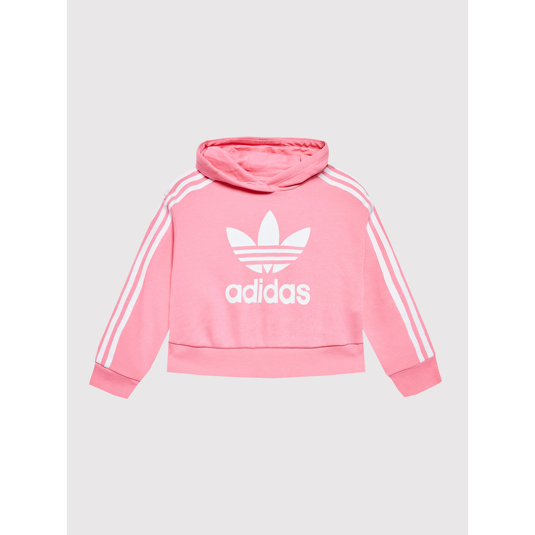 adidas Bluza Adicolor HK0281 Różowy Loose Fit