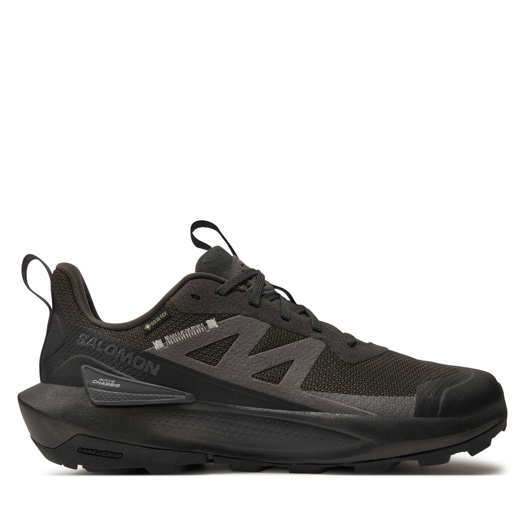 Salomon Trekkingi Elixir Activ Gore-Tex L47456100 Szary