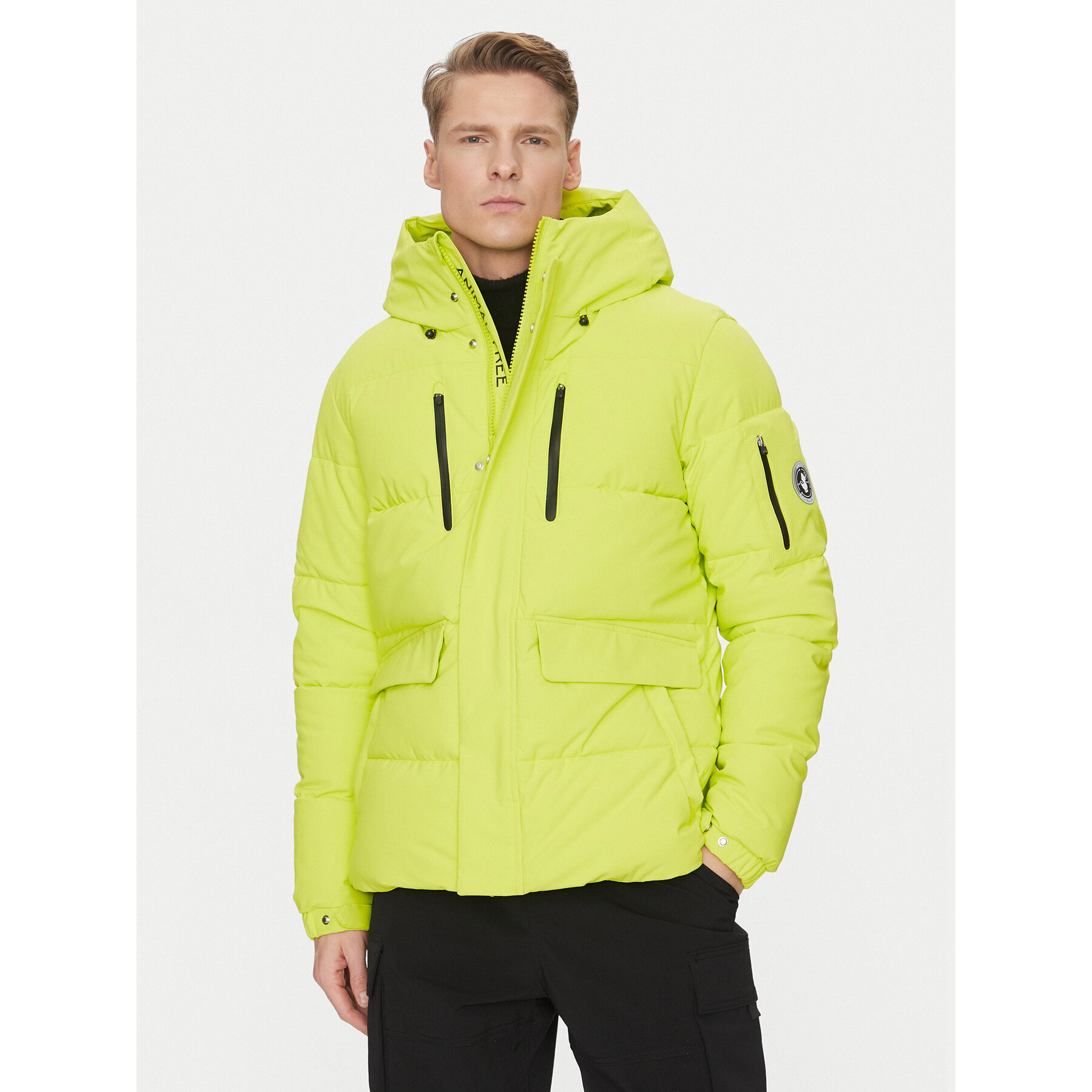 Save The Duck Kurtka zimowa P30811M SMEG19 Zielony Regular Fit