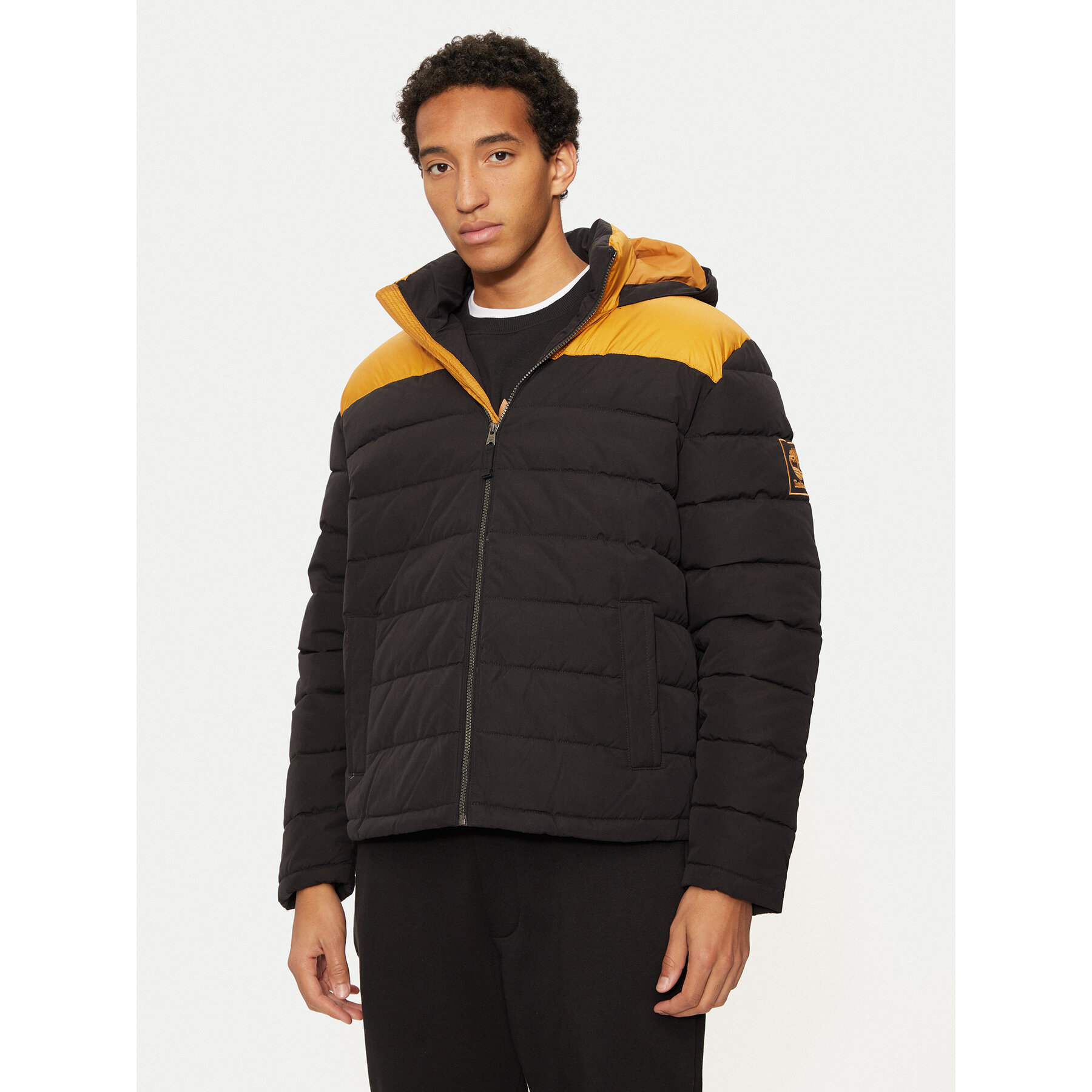 Timberland Kurtka zimowa TB0A29PQP571 Czarny Regular Fit