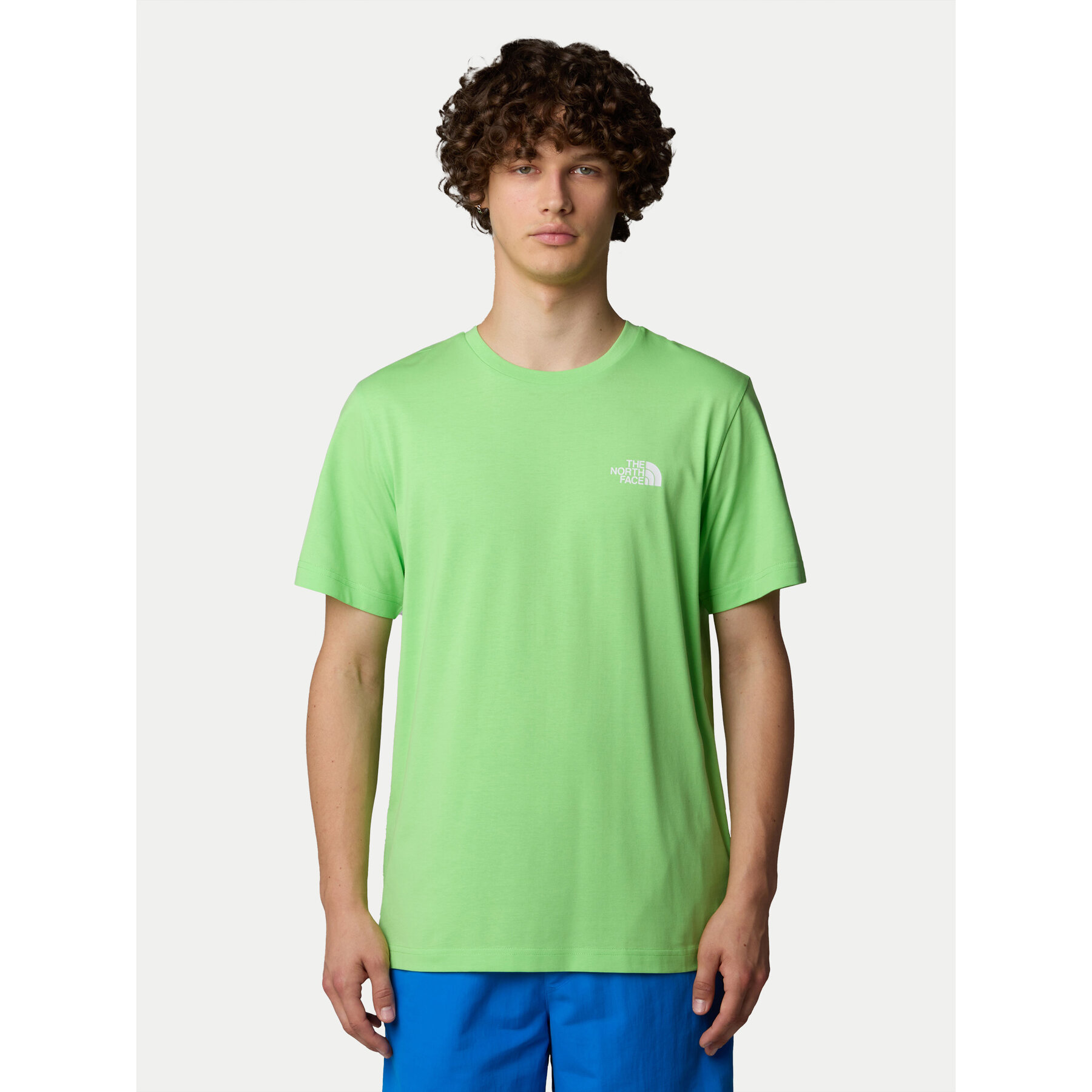 The North Face T-Shirt SS Simple Dome NF0A87NG Zielony Regular Fit