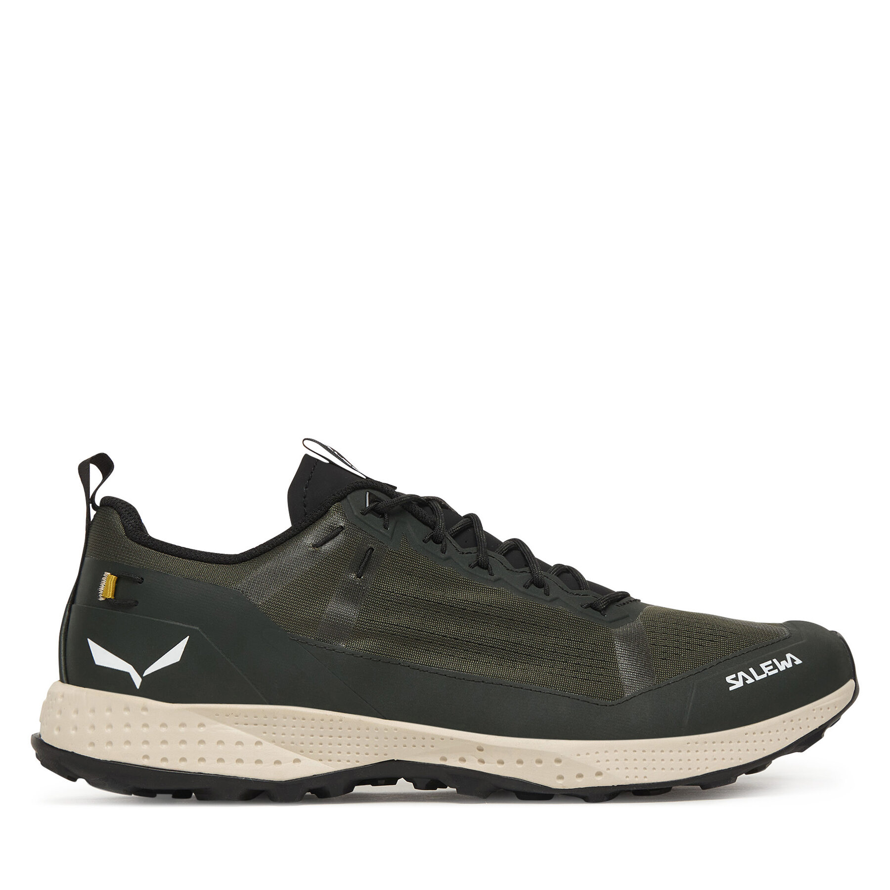 Salewa Trekkingi Pedroc Light M 61491 Zielony
