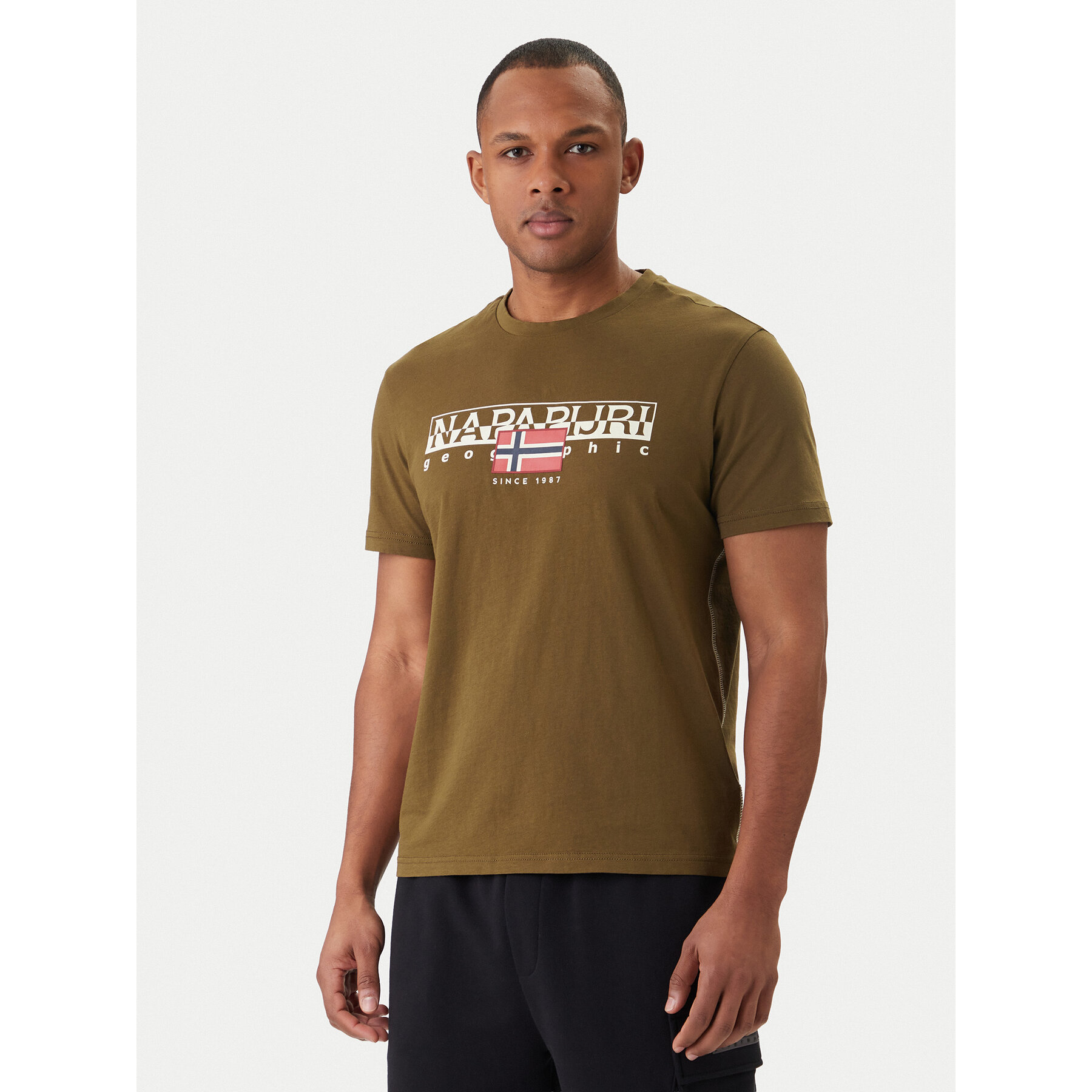 Napapijri T-Shirt S-Aylmer NP0A4HTO Zielony Regular Fit