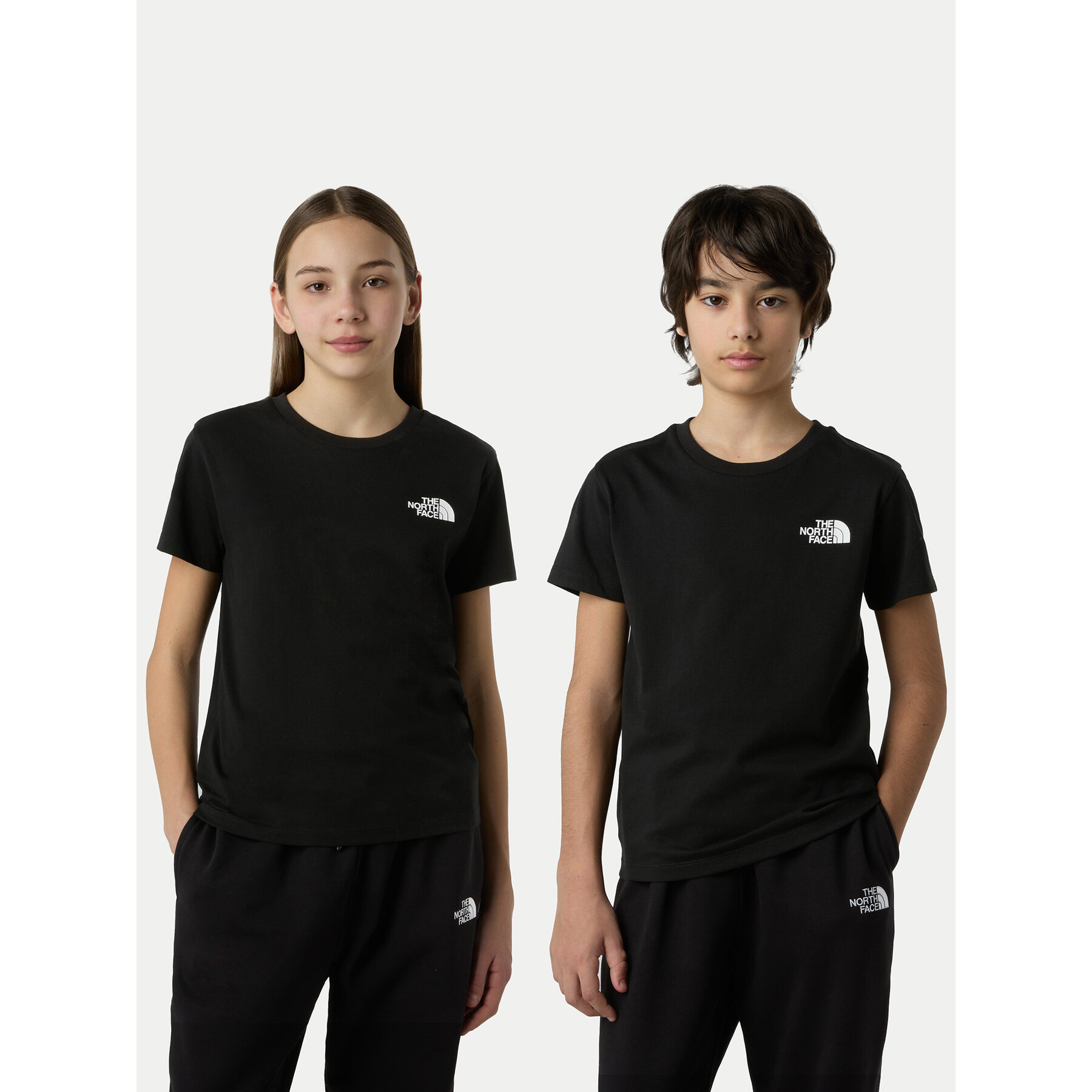 The North Face T-Shirt Simple Dome NF0A87T4 Czarny Regular Fit